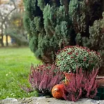 Dream House Surrounded By Silence Ferienhaus Milicz