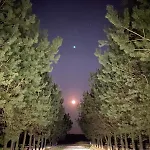 Dream House Surrounded By Silence Ferienhaus *