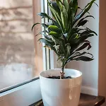 Dream House Surrounded By Silence Ferienhaus