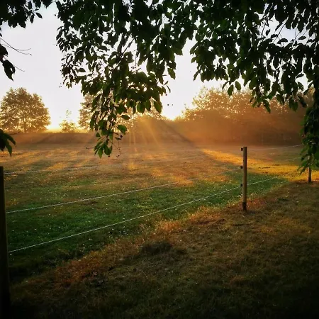 Dream House Surrounded By Silence Ferienhaus Milicz