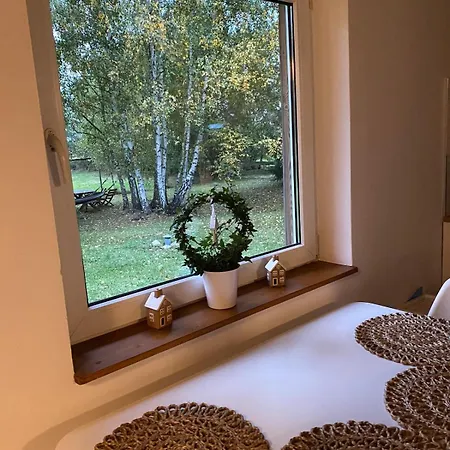 Dream House Surrounded By Silence ميليتش
