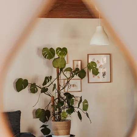 Dream House Surrounded By Silence بيت للعطل ميليتش