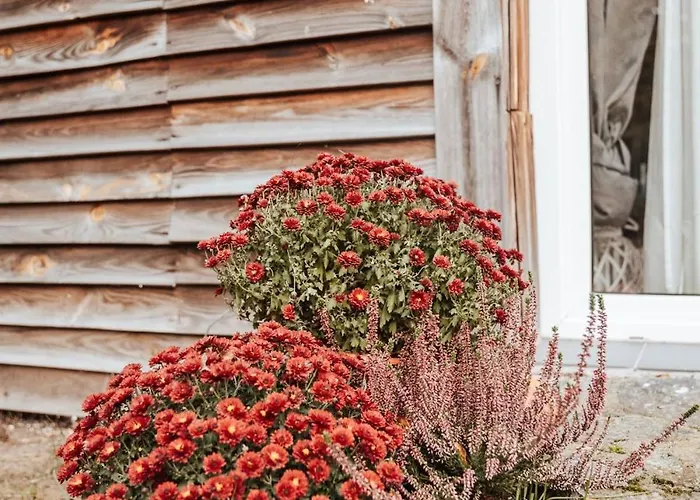 Dream House Surrounded By Silence *