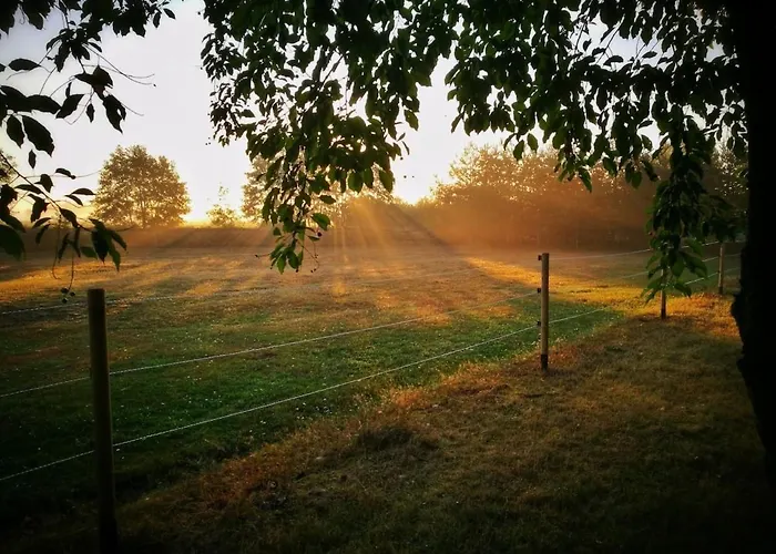 Dream House Surrounded By Silence Ferienhaus Milicz