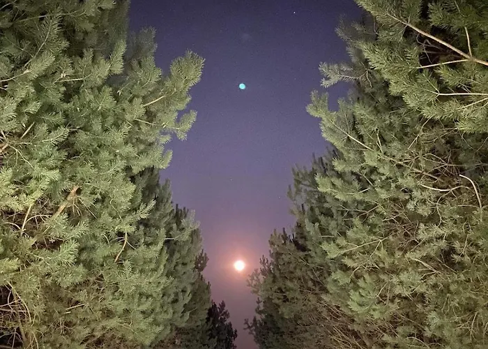 Dream House Surrounded By Silence Ferienhaus *