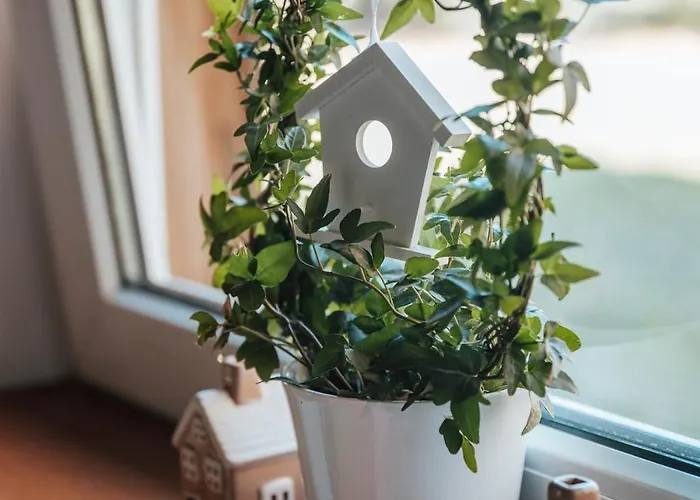 Ferienhaus Dream House Surrounded By Silence