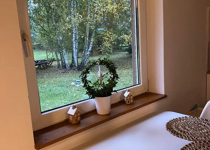 Dream House Surrounded By Silence Milicz