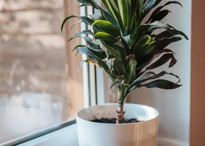 Dream House Surrounded By Silence Ferienhaus